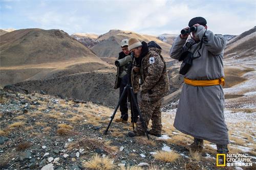 WWF的Ochirjav Munkhtogyokh和研究团队正沿着山坡做地毯式搜寻，希望能找到雪豹及其猎物（盘羊、野山羊）留下的痕迹。