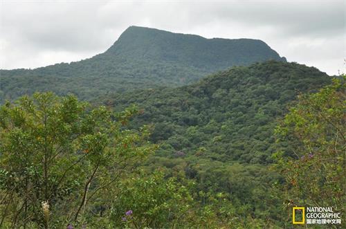 巴西南部的巴乌山（Morro do Baú）就孕育着大片的云雾森林，那里的生物多样性让人叹为观止。